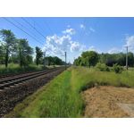 Zdjęcia użytkowników Realme 11 Pro+ Zdjęcia użytkowników Realme 11 Pro+