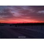 Zdjęcia użytkowników Realme 11 Pro+ Zdjęcia użytkowników Realme 11 Pro+