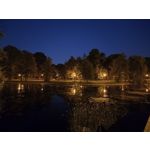 Zdjęcia użytkowników Realme 11 Pro+ Zdjęcia użytkowników Realme 11 Pro+