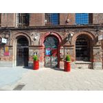 Zdjęcia użytkowników Realme 11 Pro+ Zdjęcia użytkowników Realme 11 Pro+