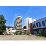 Zdjęcia użytkowników Realme 11 Pro+ Zdjęcia użytkowników Realme 11 Pro+