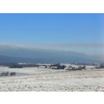 Zdjęcia użytkowników Realme 11 Pro+ Zdjęcia użytkowników Realme 11 Pro+