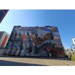 Zdjęcia użytkowników Realme 11 Pro+ Zdjęcia użytkowników Realme 11 Pro+