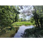 Zdjęcia użytkowników Realme 11 Pro+ Zdjęcia użytkowników Realme 11 Pro+