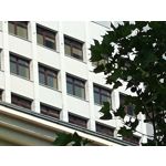 Zdjęcia użytkowników Realme 11 Pro+ Zdjęcia użytkowników Realme 11 Pro+