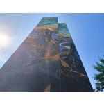 Zdjęcia użytkowników Realme 11 Pro+ Zdjęcia użytkowników Realme 11 Pro+