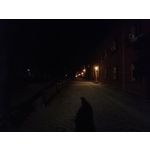 Zdjęcia użytkowników Realme 11 Pro+ Zdjęcia użytkowników Realme 11 Pro+