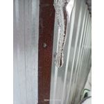 Zdjęcia użytkowników Realme 11 Pro+ Zdjęcia użytkowników Realme 11 Pro+