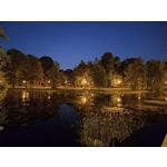 Zdjęcia użytkowników Realme 11 Pro+ Zdjęcia użytkowników Realme 11 Pro+