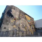 Zdjęcia użytkowników Realme 11 Pro+ Zdjęcia użytkowników Realme 11 Pro+