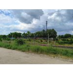 Zdjęcia użytkowników Realme 11 Pro+ Zdjęcia użytkowników Realme 11 Pro+