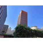 Zdjęcia użytkowników Realme 11 Pro+ Zdjęcia użytkowników Realme 11 Pro+