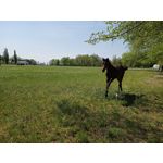 Zdjęcia użytkowników Realme 6 Zdjęcia użytkowników Realme 6