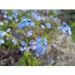 Zdjęcia użytkowników Realme 6 Zdjęcia użytkowników Realme 6