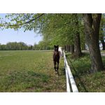 Zdjęcia użytkowników Realme 6 Zdjęcia użytkowników Realme 6