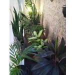 ZDJĘCIA Z TEGO TELEFONU