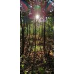 Zdjęcia użytkowników Realme 6 Zdjęcia użytkowników Realme 6