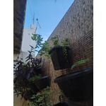 ZDJĘCIA Z TEGO TELEFONU