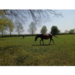 Zdjęcia użytkowników Realme 6 Zdjęcia użytkowników Realme 6