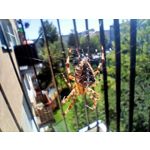 Zdjęcia użytkowników Realme 6 Zdjęcia użytkowników Realme 6