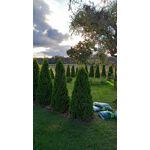 Zdjęcia użytkowników Realme 6 Zdjęcia użytkowników Realme 6