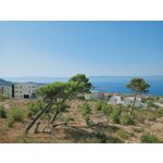 Zdjęcia użytkowników Realme 6i