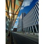 Zdjęcia użytkowników Realme 6s