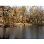 Zdjęcia użytkowników Realme 7 5G