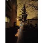 Zdjęcia użytkowników Realme 7 5G