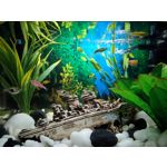 Zdjęcia użytkowników Realme 7 Pro