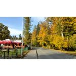 Zdjęcia użytkowników Realme 7 Pro