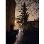 Zdjęcia użytkowników Realme 7 Pro