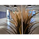 Zdjęcia użytkowników Realme 7 Pro