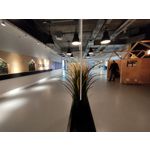 Zdjęcia użytkowników Realme 7 Pro