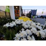 Zdjęcia użytkowników Realme 7 Pro