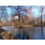 Zdjęcia użytkowników Realme 7i RMX2193