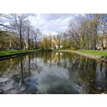 Zdjęcia użytkowników Realme 8 5G