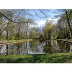 Zdjęcia użytkowników Realme 8 5G