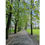 Zdjęcia użytkowników Realme 8 5G