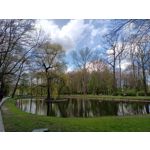 Zdjęcia użytkowników Realme 8 5G