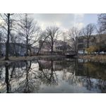 Zdjęcia użytkowników Realme 8 Pro