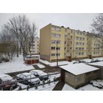 Zdjęcia użytkowników Realme 8 Pro