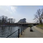 Zdjęcia użytkowników Realme 8 Pro