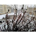Zdjęcia użytkowników Realme 8 Pro