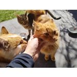 Zdjęcia użytkowników Realme 8 Pro