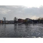 Zdjęcia użytkowników Realme 8 Pro
