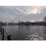 Zdjęcia użytkowników Realme 8 Pro