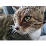 Zdjęcia użytkowników Realme 8 Pro