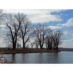 Zdjęcia użytkowników Realme 8 Zdjęcia użytkowników Realme 8