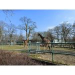 Zdjęcia użytkowników Realme 8 Zdjęcia użytkowników Realme 8